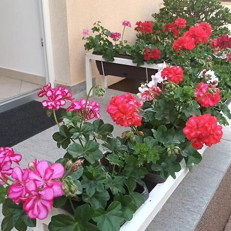 Apartment Marelja - Private Parking And Balcony Zadar Dış mekan fotoğraf