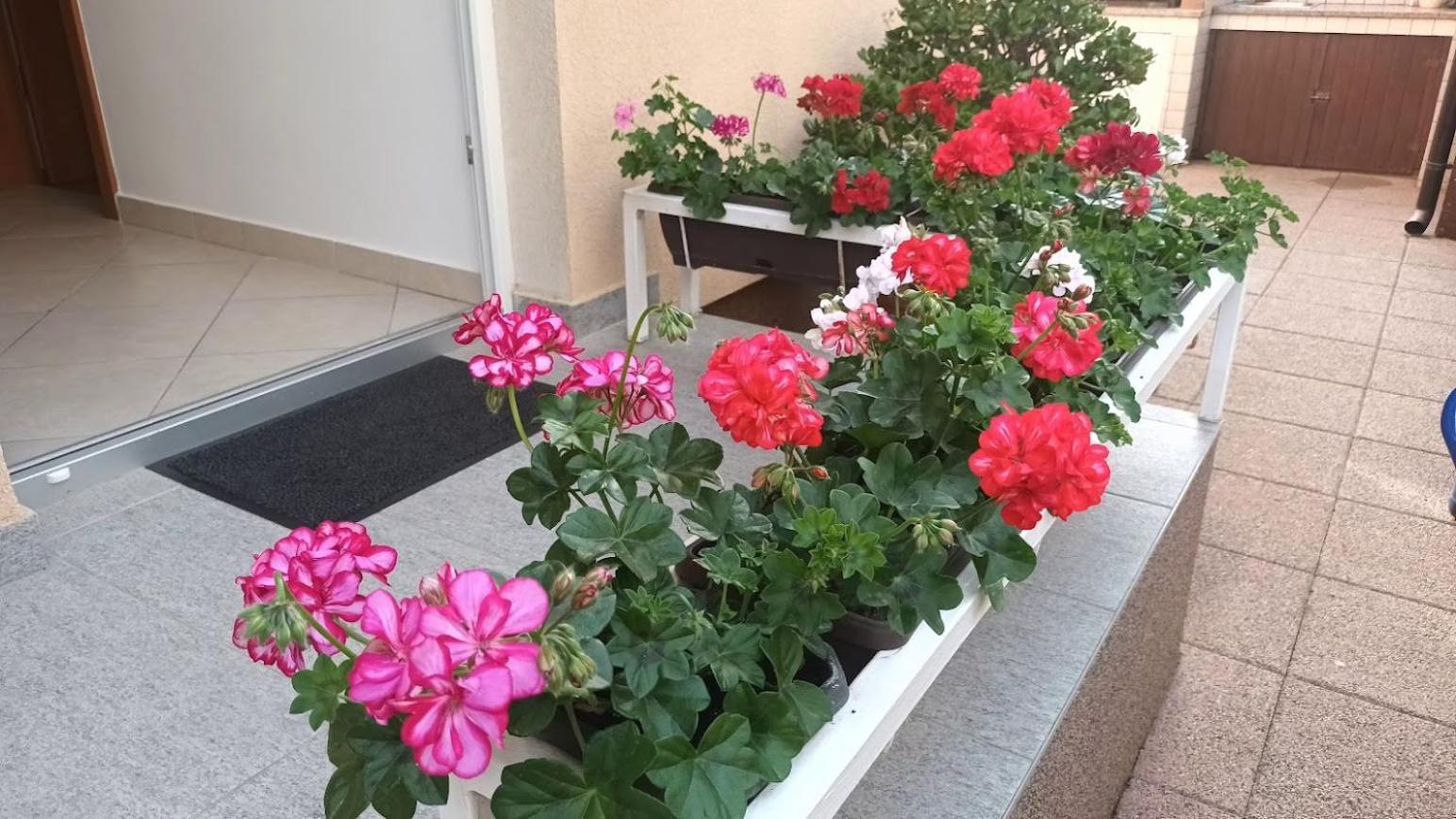 Apartment Marelja - Private Parking And Balcony Zadar Dış mekan fotoğraf